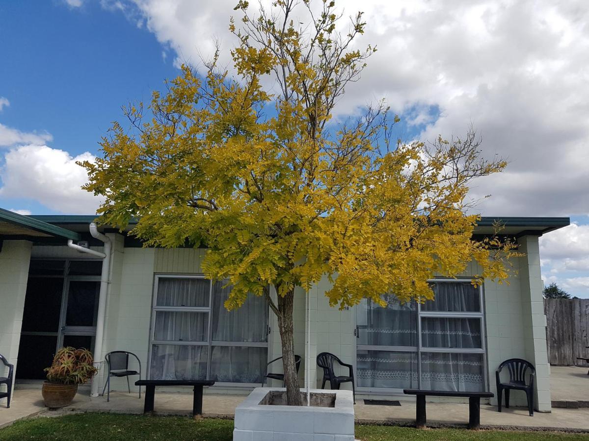 Parkview Motel Dargaville Buitenkant foto